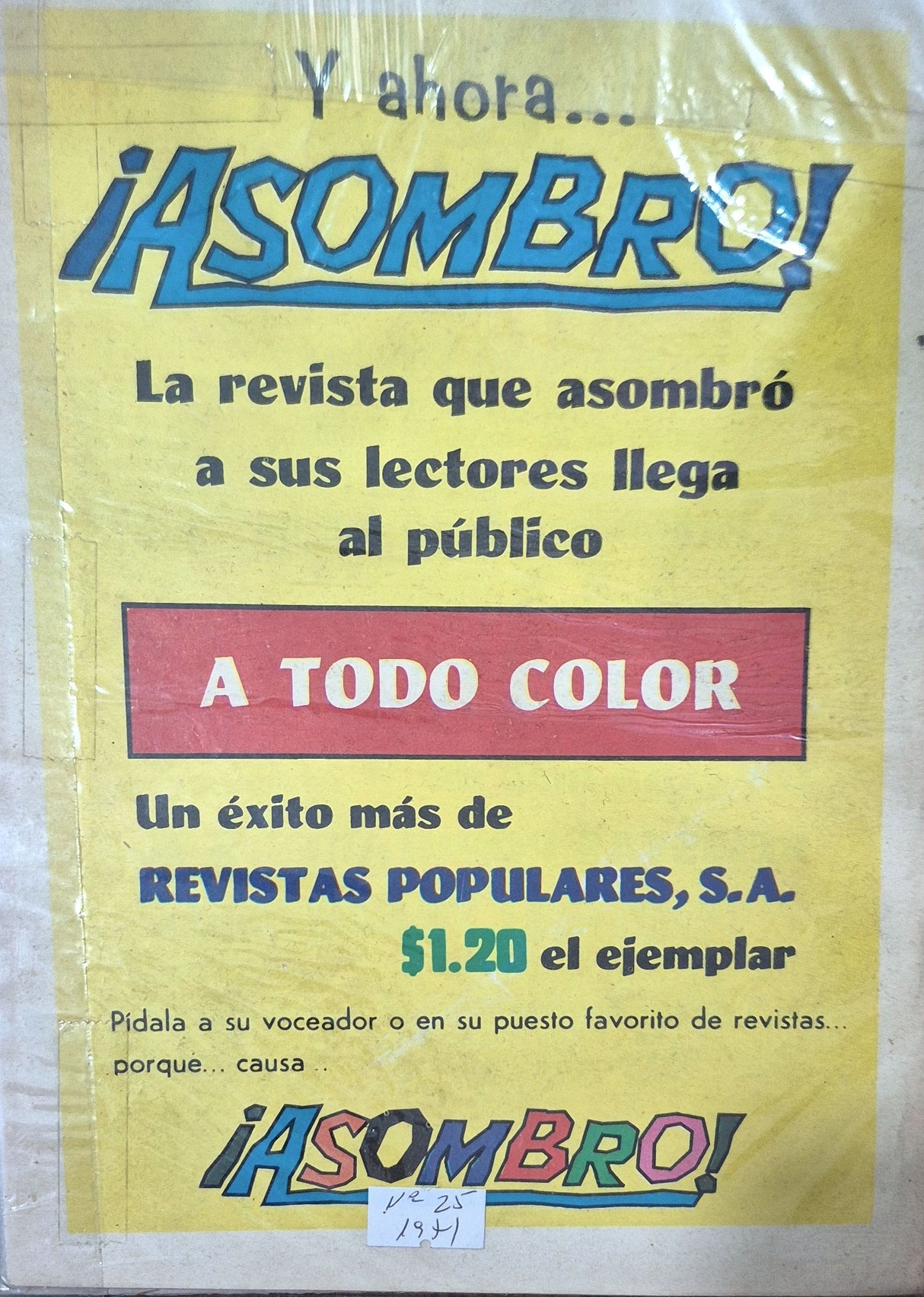 ASOMBRO N°25 - Revista