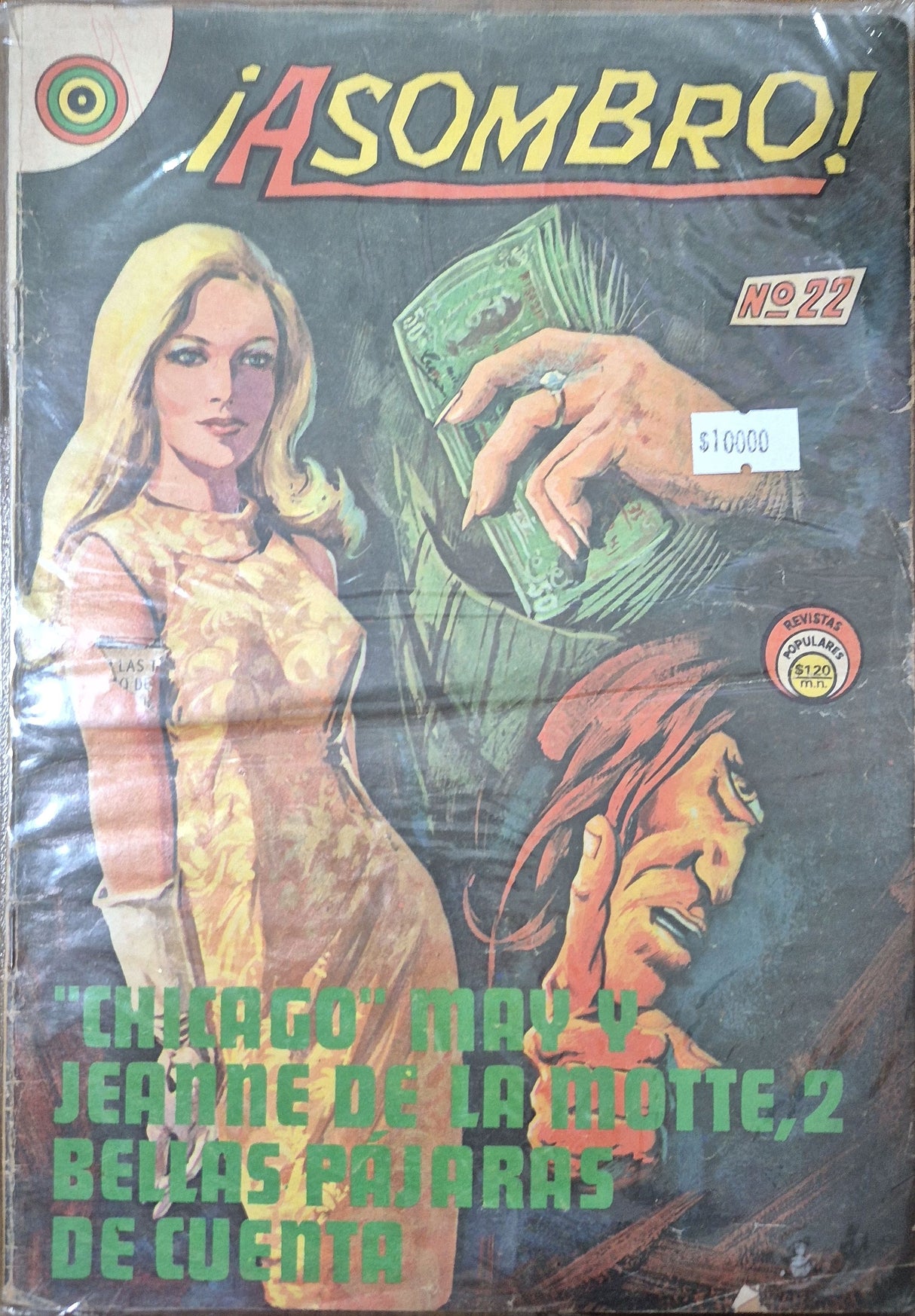 ASOMBRO N°22 - Revista