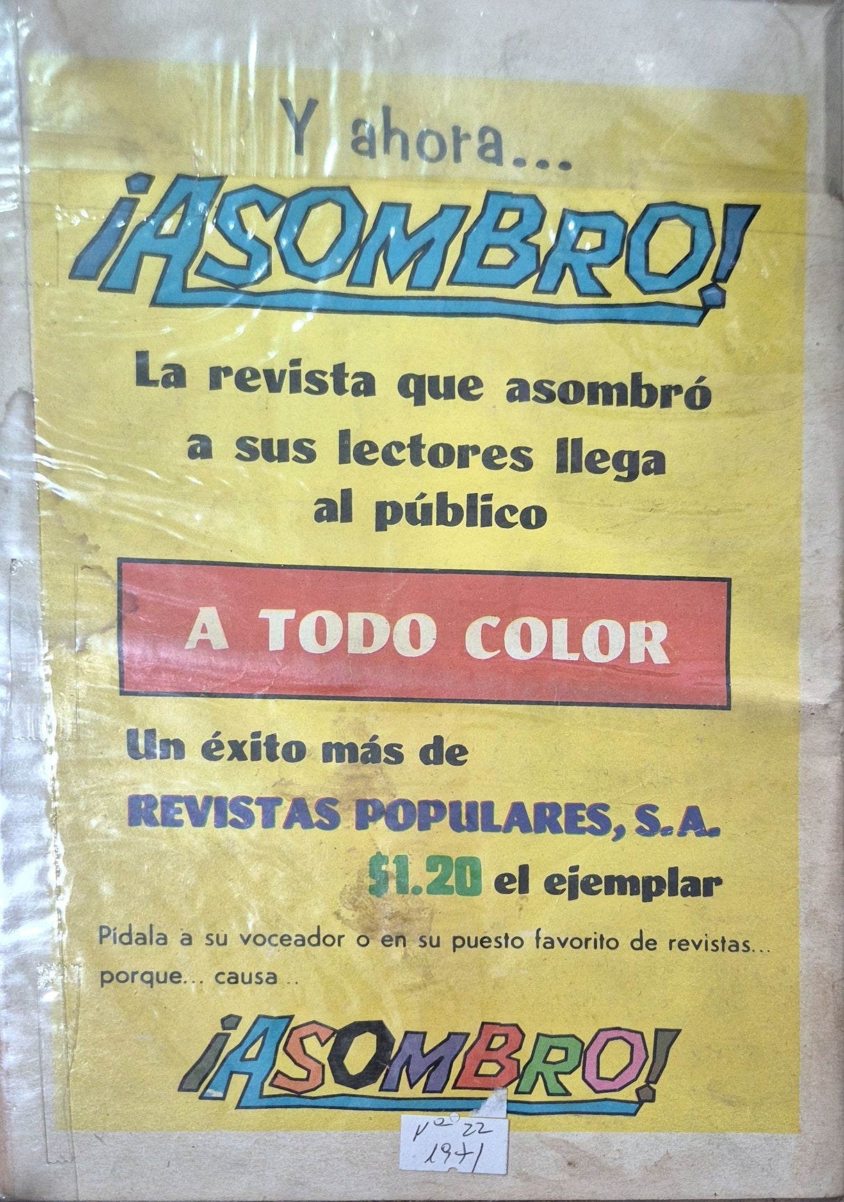 ASOMBRO N°22 - Revista