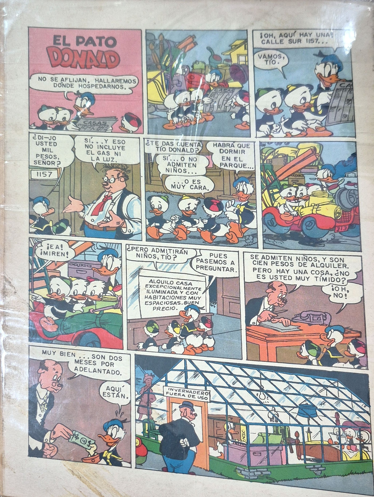 HISTORIETAS DE WALT DISNEY (Plantando un Árbol) - Revista