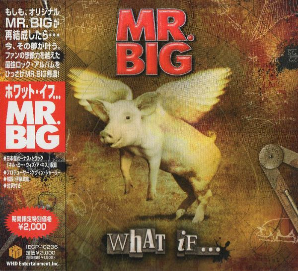 Mr. Big – What If... - Cd Japones