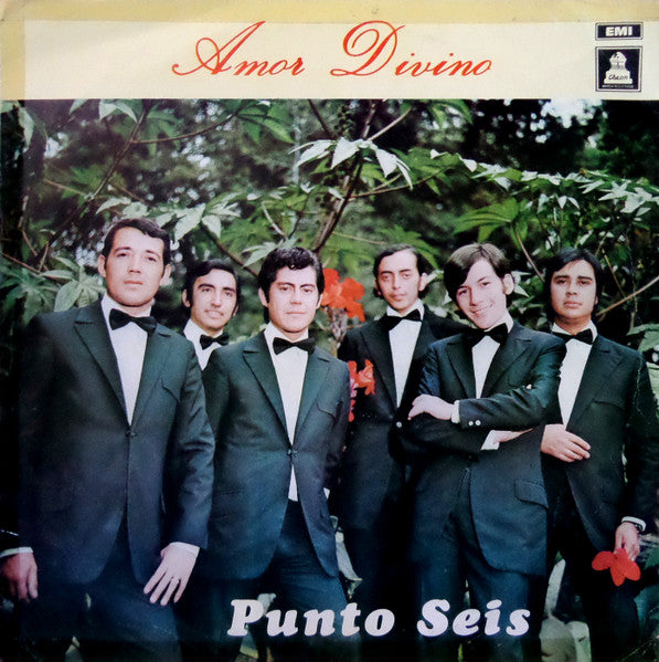 Punto Seis – Amor Divino - VINILO DE EPOCA