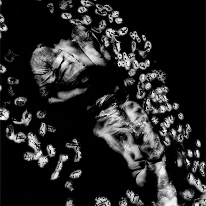 Walls Walls - Vinilo Usado