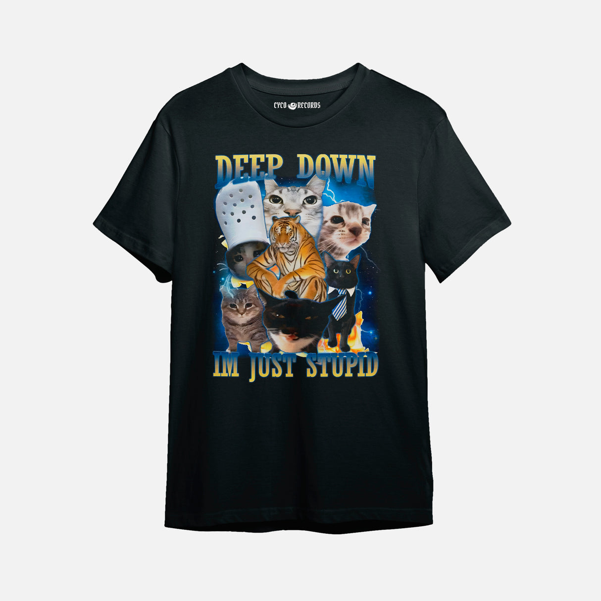Gato meme - Deep Down Im Just Stupid - Polera