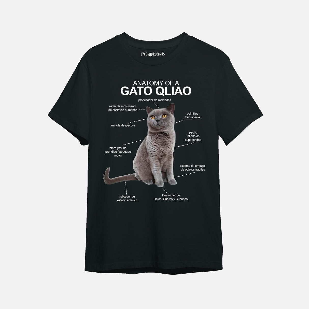 Anatomy of Gato Qliao - Gris -Polera
