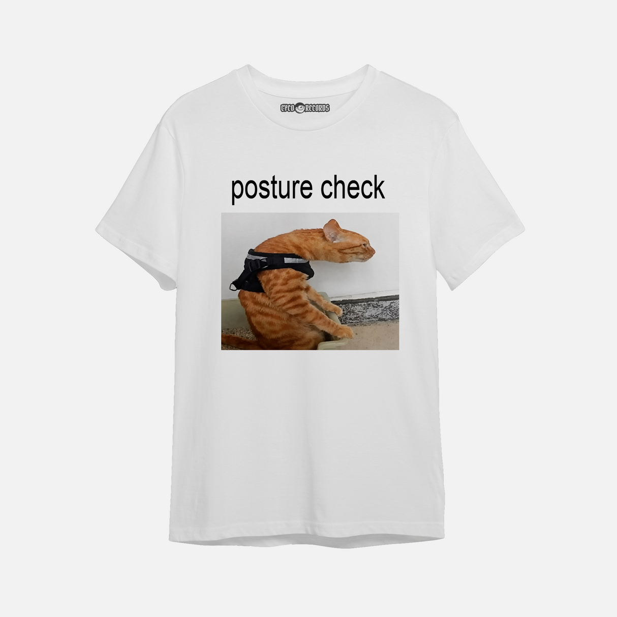 Meme - Posture Check - Polera