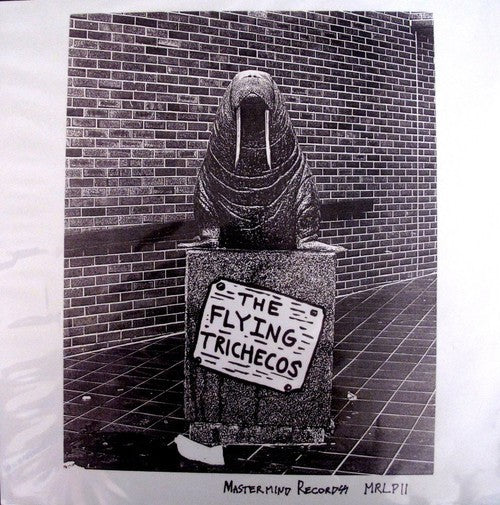 The Flying Trichecos - Mastermind recordings - LP