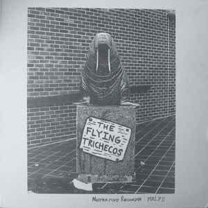 Flying Trichecos - Flying Trichecos - LP