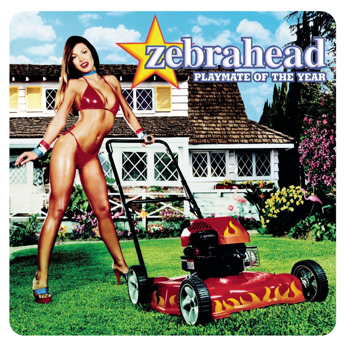 Zebrahead – Playmate Of The Year - CD Japonés Oferta