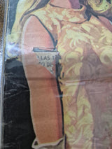 ASOMBRO N°22 - Revista