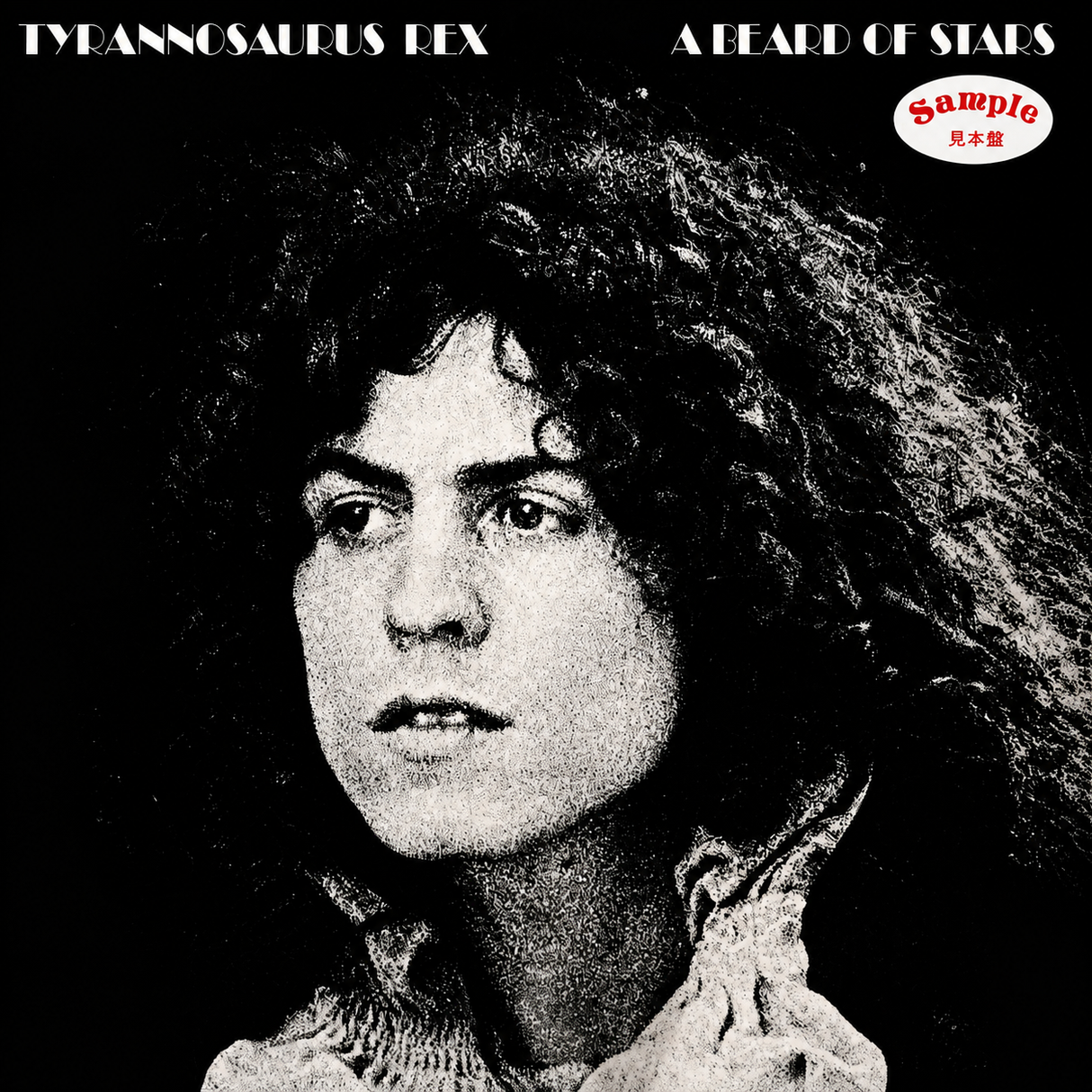 Tyrannosaurus Rex – A Beard Of Stars - VINILO JAPONES (Sin Obi)