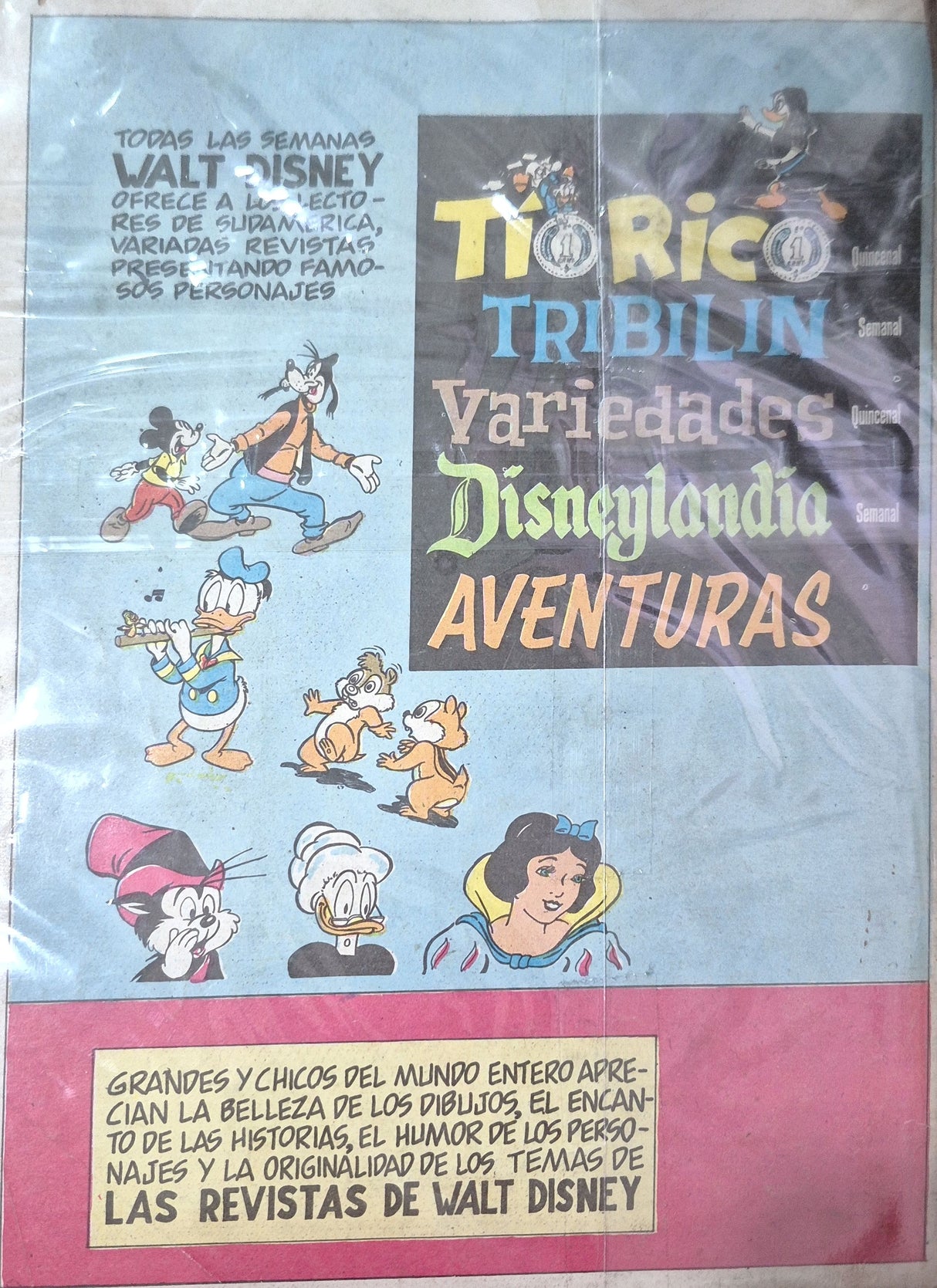 ASOMBRO N°35 - Revista