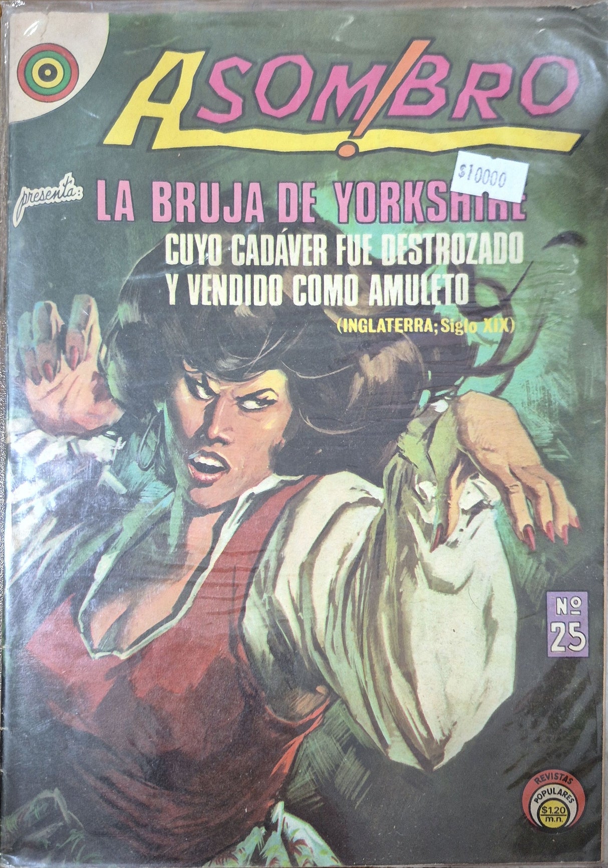 ASOMBRO N°25 - Revista