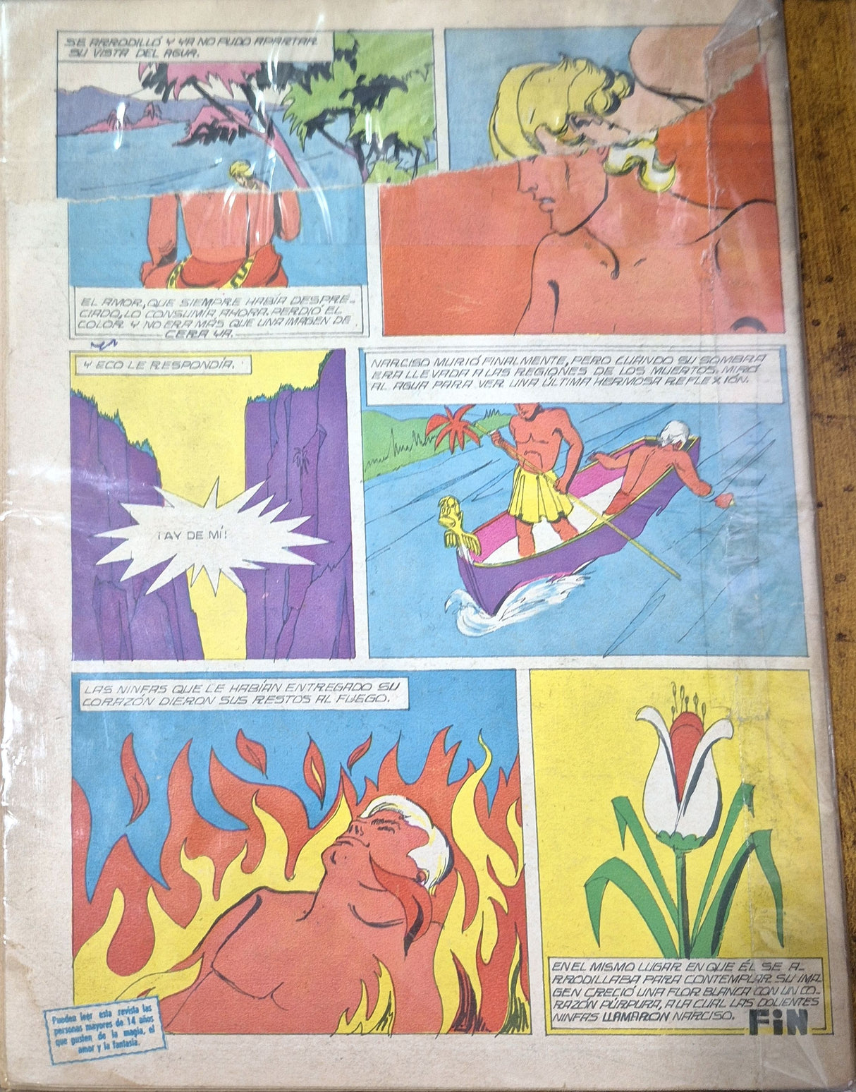 SUEÑOS MARAVILLOSOS - Revista