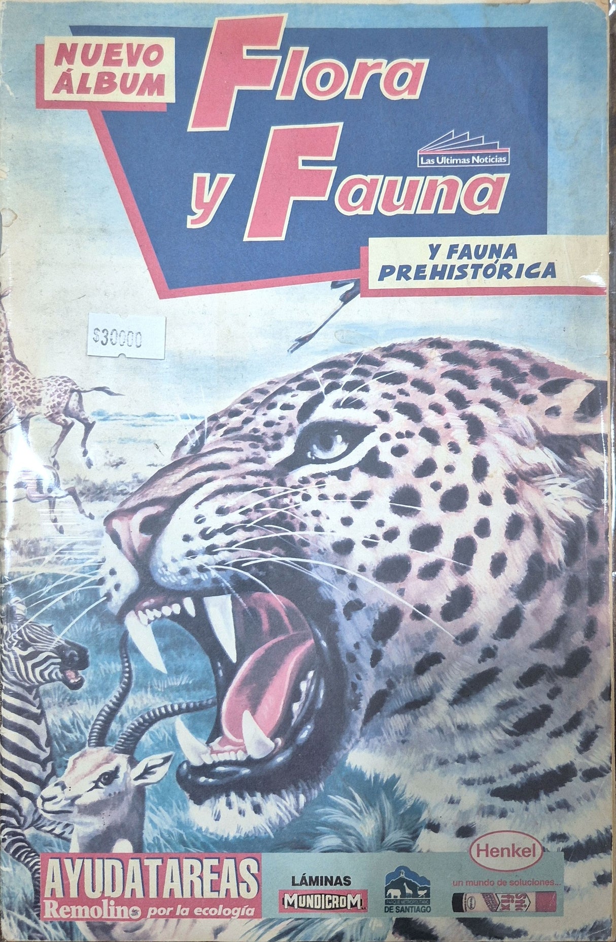 FLORA Y FAUNA - NUEVO ÁLBUM - Revista