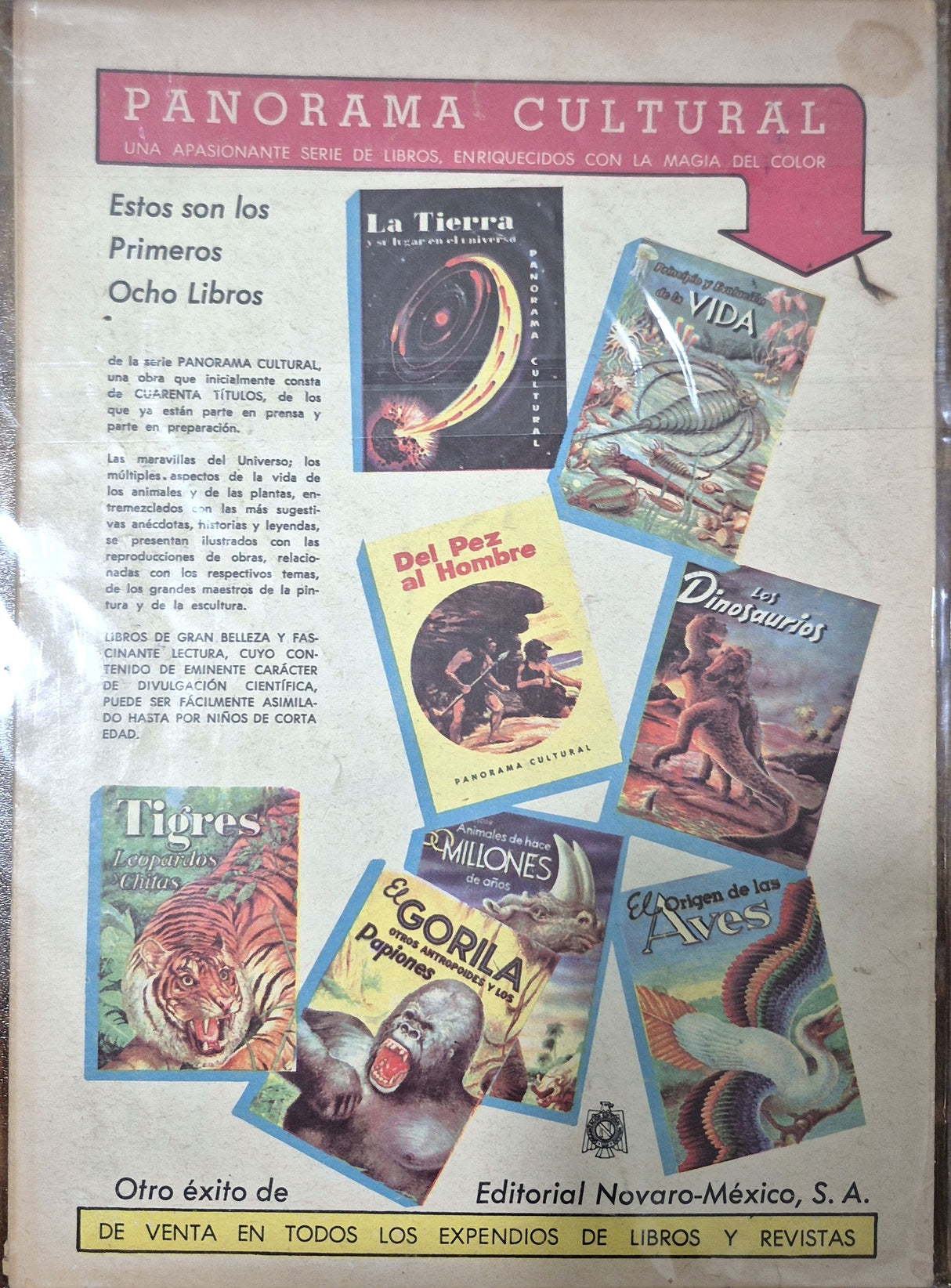 VIDAS ILUSTRES - LA GLORIA DE BEETHOVEN - Revista