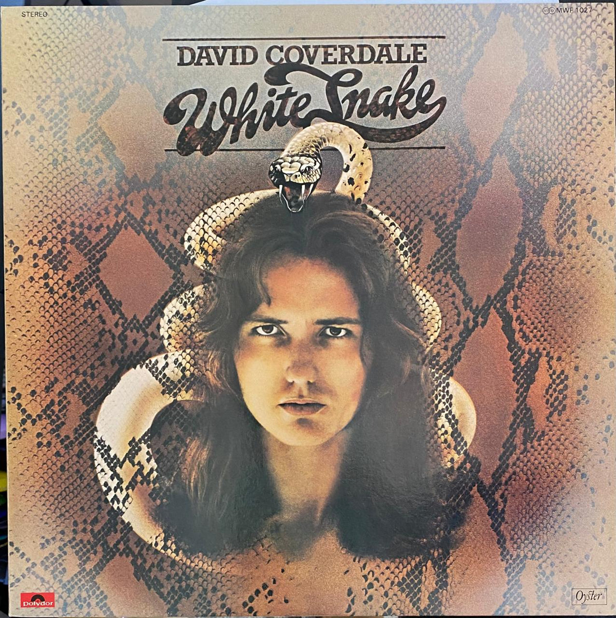 David Coverdale – Whitesnake - Vinilo Japonés (Sin Obi)