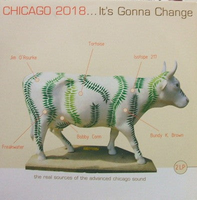 Various – Chicago 2018... It's Gonna Change - Vinilo Doble