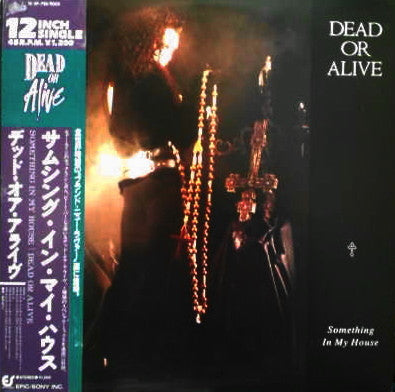 Dead Or Alive – Something In My House - Vinilo Japonés