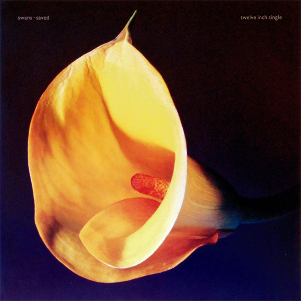 Swans – Saved - VINILO