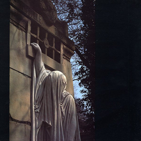 Dead Can Dance  Within The Realm Of A Dying Sun - Vinilo Usado