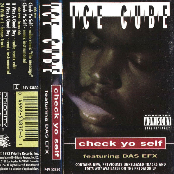 Ice Cube  Check Yo Self