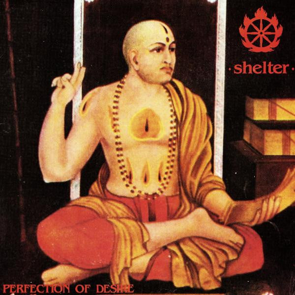 Shelter – Perfection Of Desire - Vinilo Simple - Nuevo