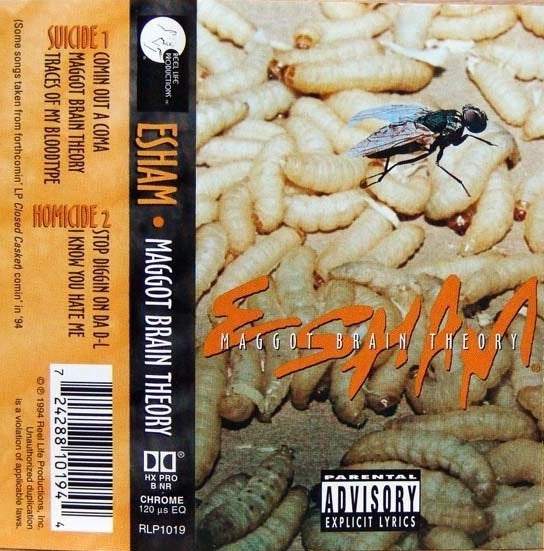 Esham  Maggot Brain Theory