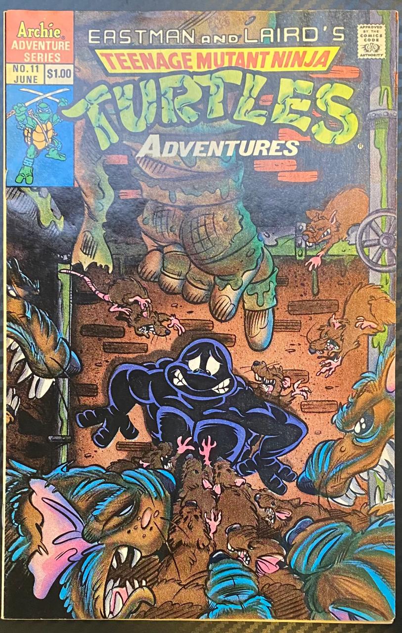Teenage Mutant Ninja Turtles Adventures N°11 - Revista