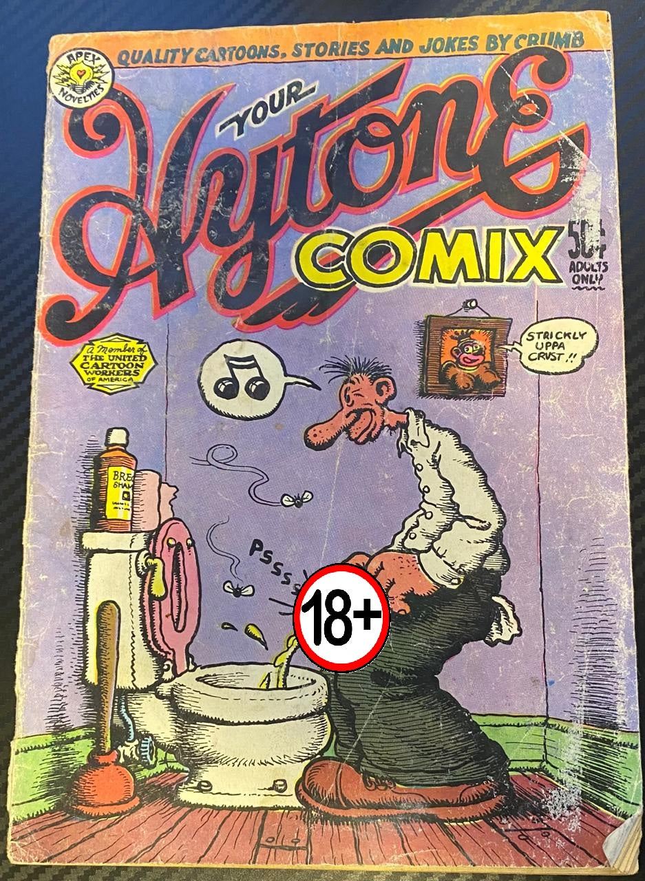 Your Hytone Comix N°1 - Revista