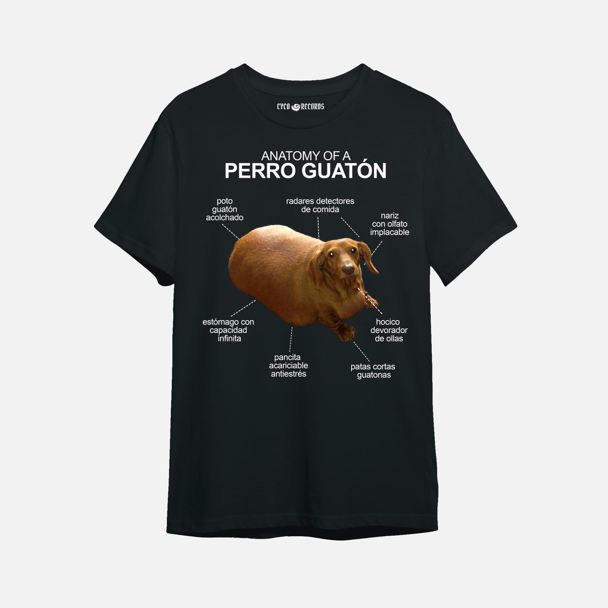 Anatomy of Perro Guaton - Salchicha - Polera