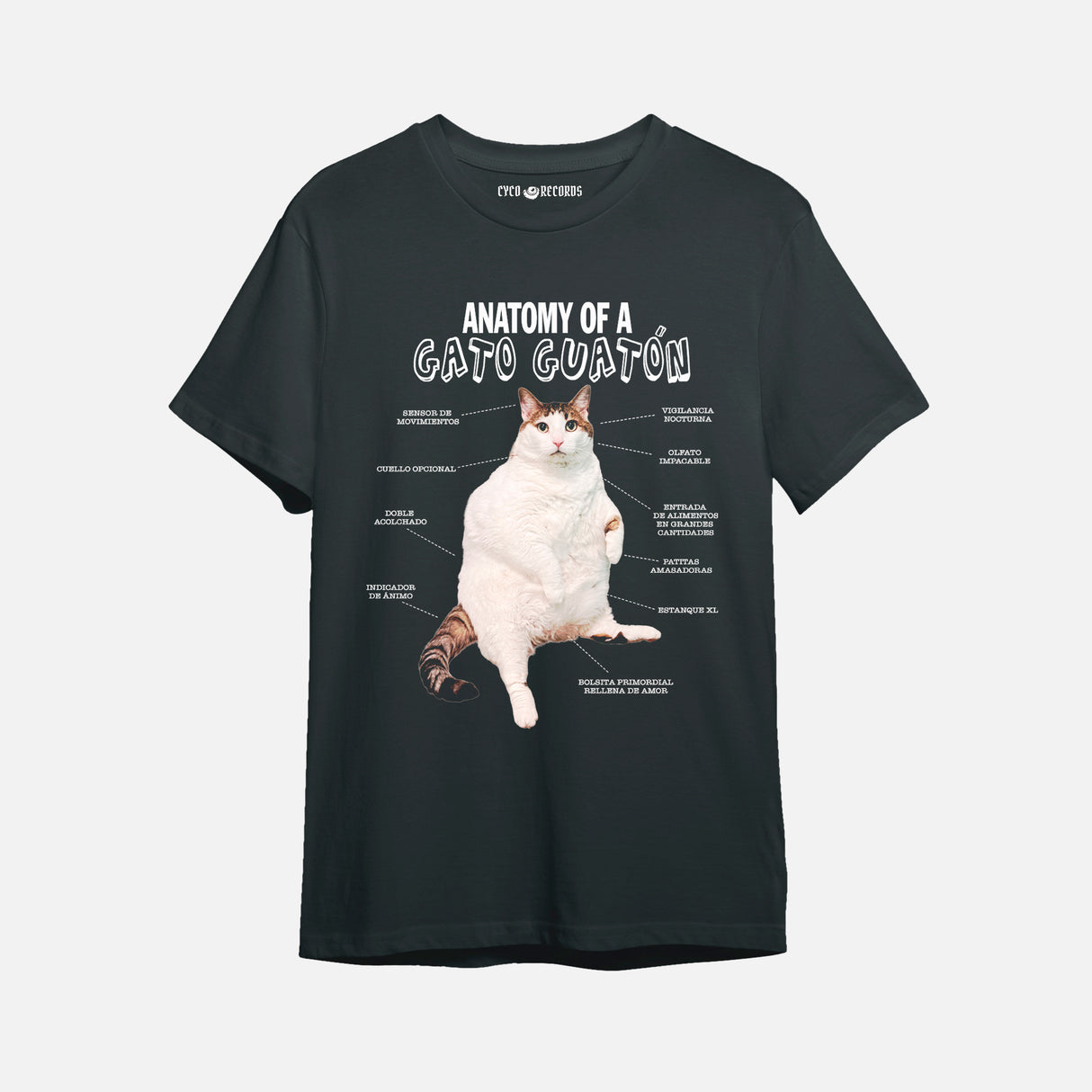gato