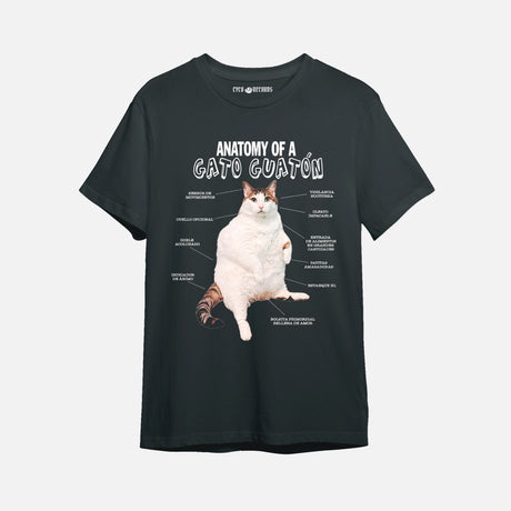 gato