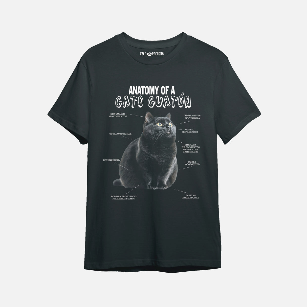 gato