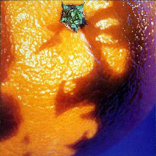 Phish - A picture of nectar - CD